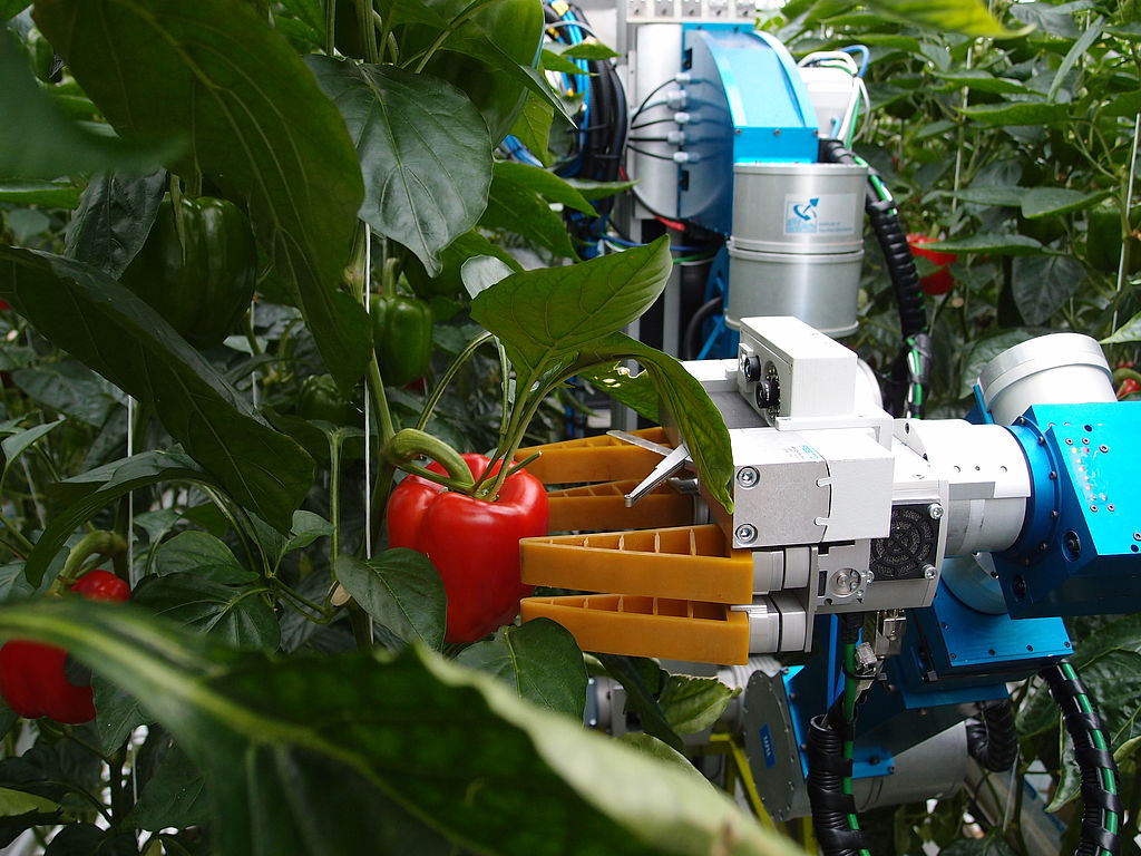 Robotisering in de Agro Food